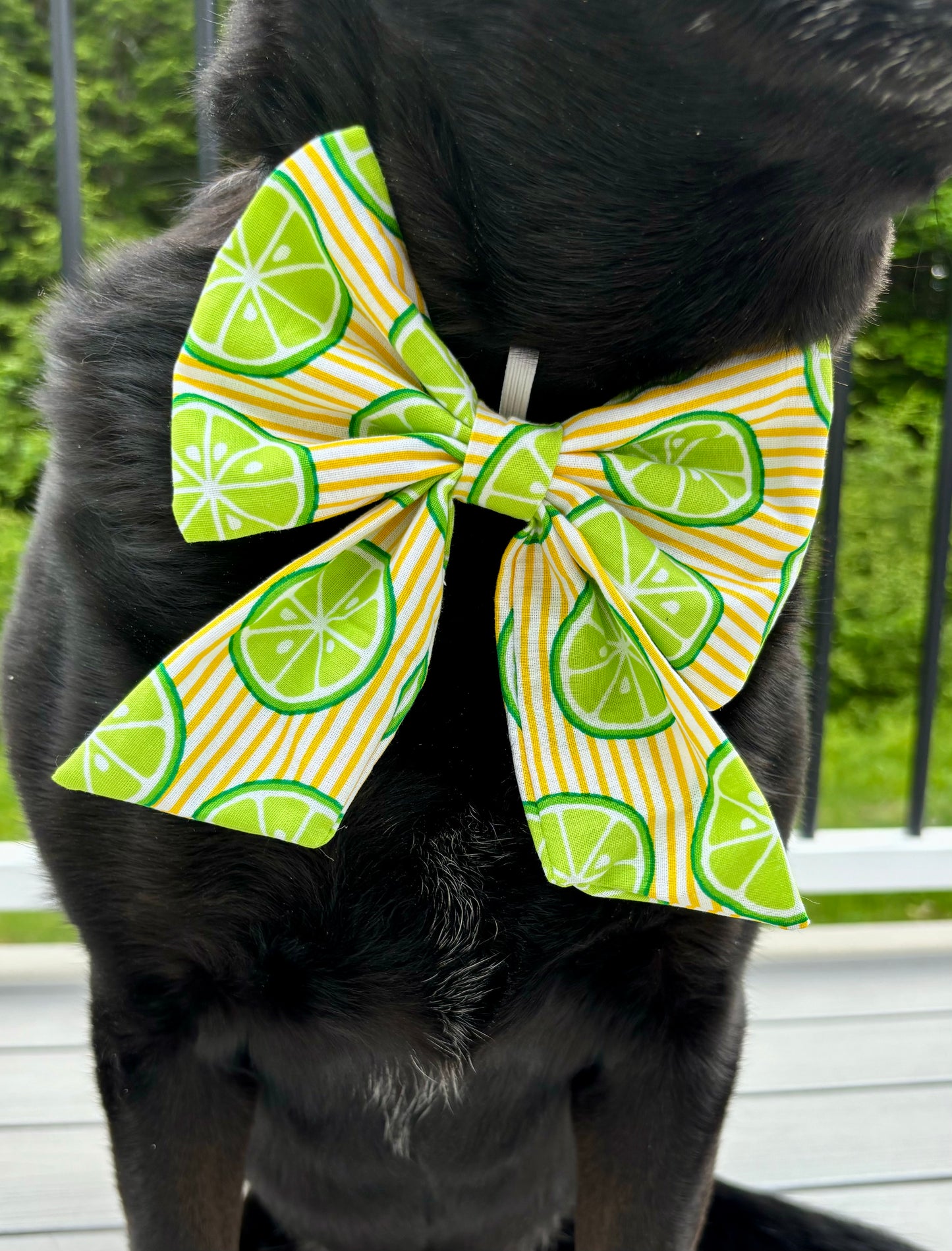 Sailor Dog Bow Tie, Citrus Stripe