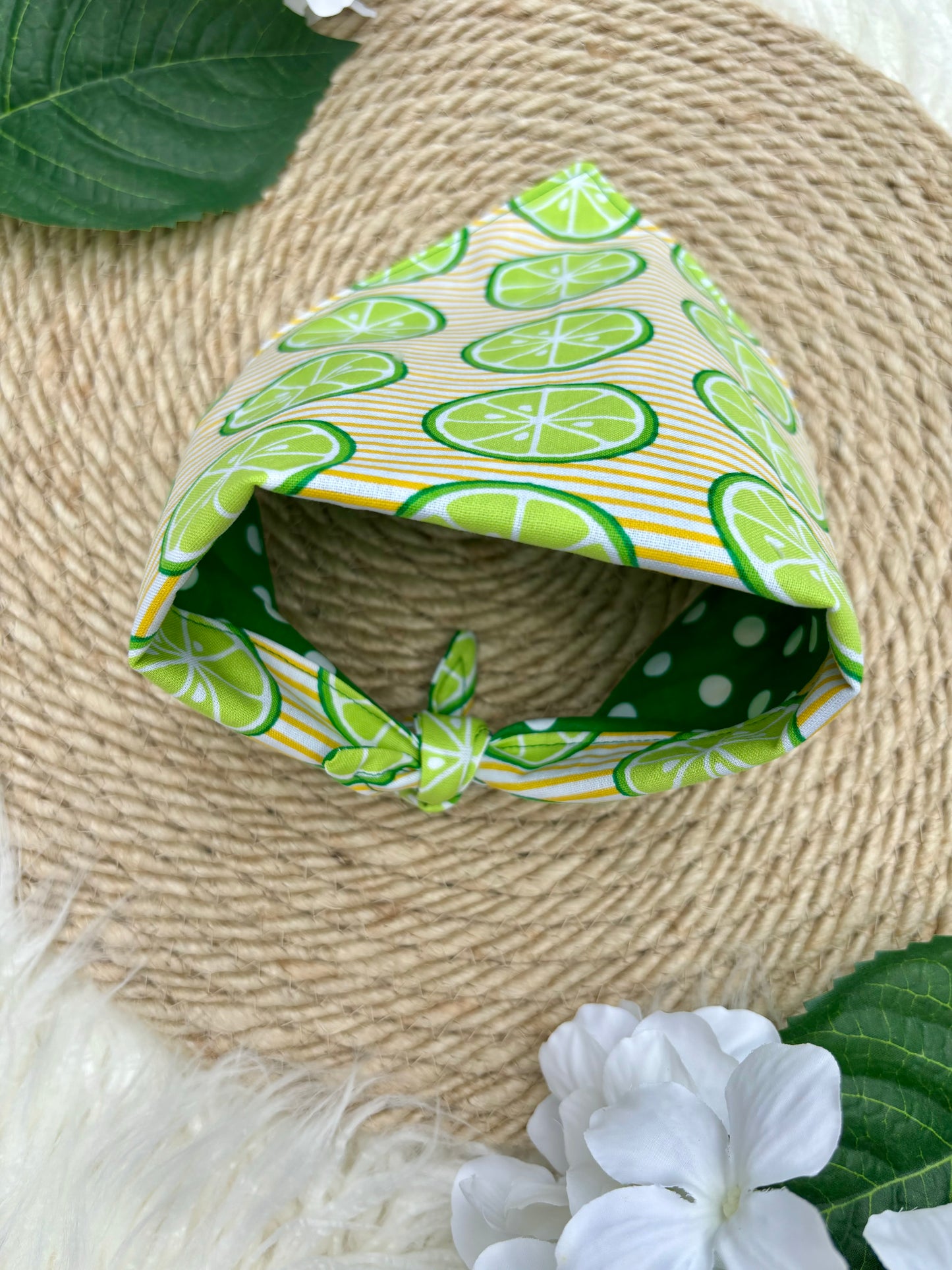 Tie On Dog Bandana, Reversible Dog Bandana, Citrus Stripe & Green Poka Dot