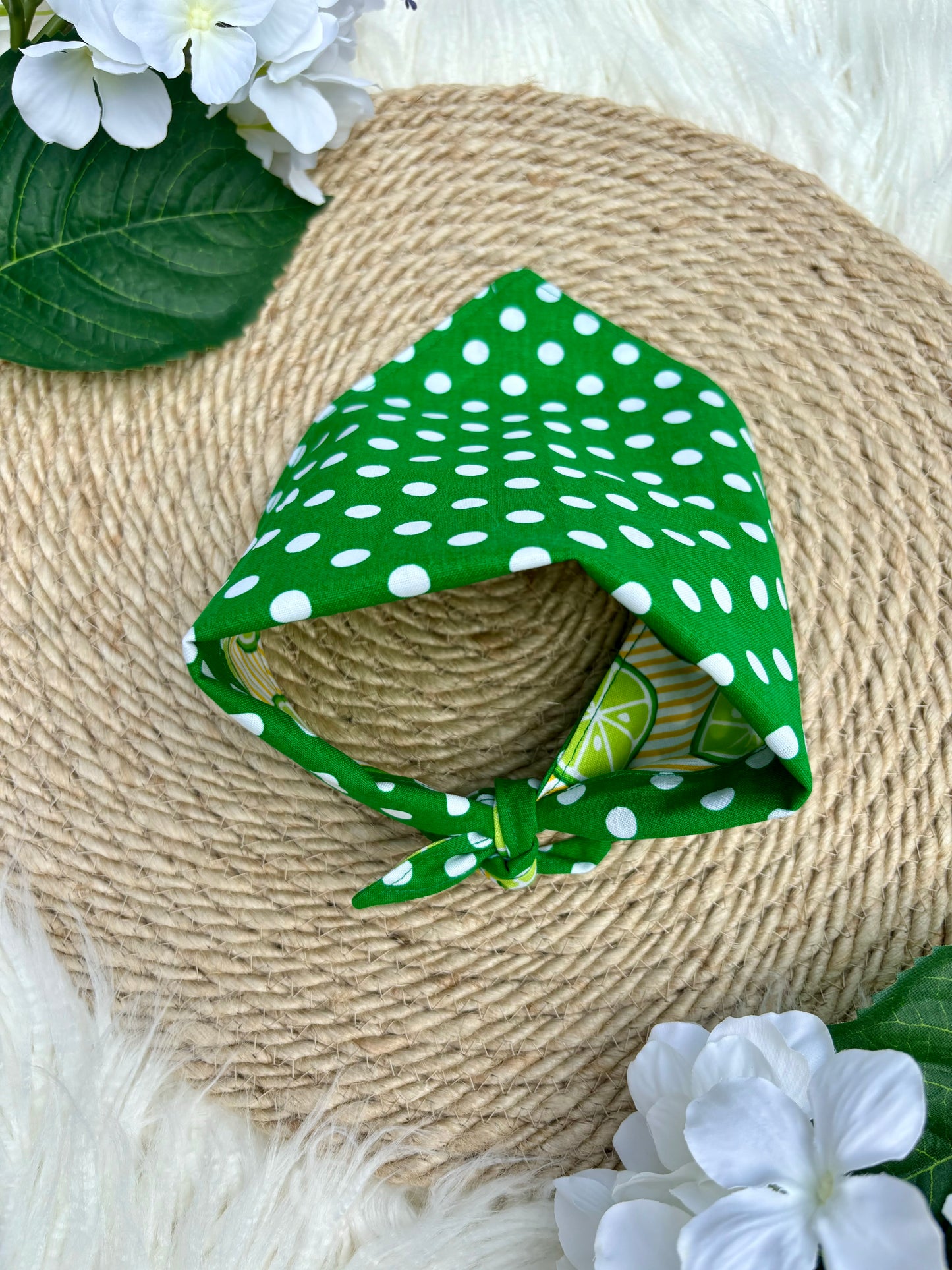Tie On Dog Bandana, Reversible Dog Bandana, Citrus Stripe & Green Poka Dot