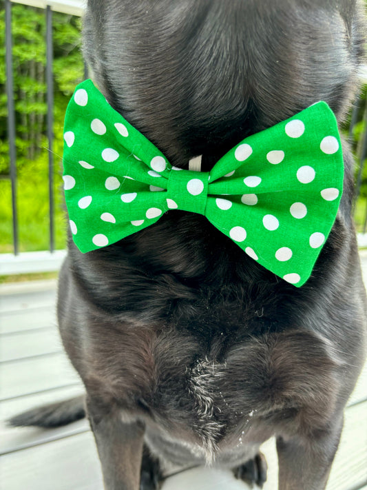 Dog Bow Tie, Green Poka Dot