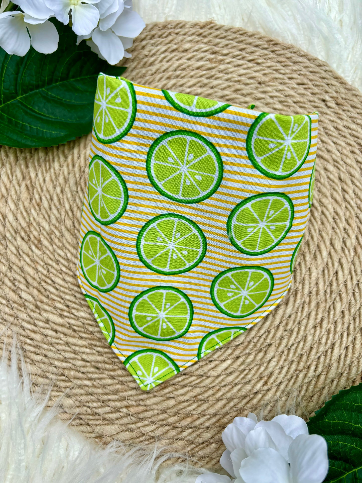 Tie On Dog Bandana, Reversible Dog Bandana, Citrus Stripe & Green Poka Dot