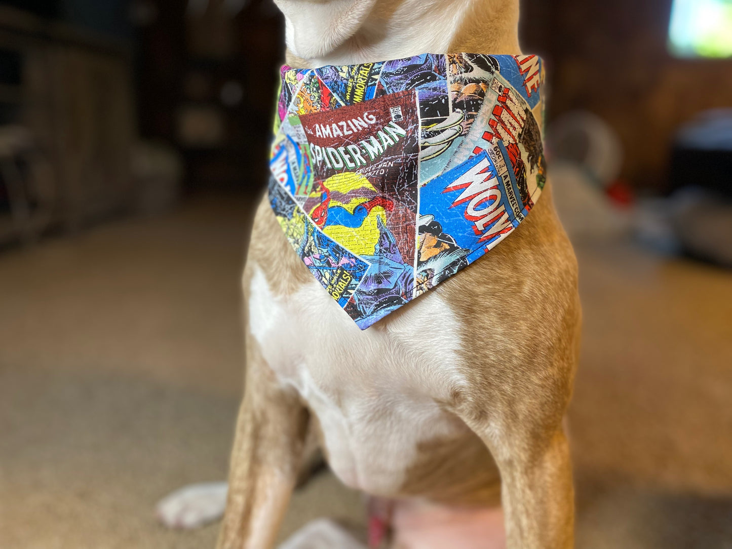 Tie on Dog Bandana, Reversible Dog Bandana, Stripes & Cowboy Pattern