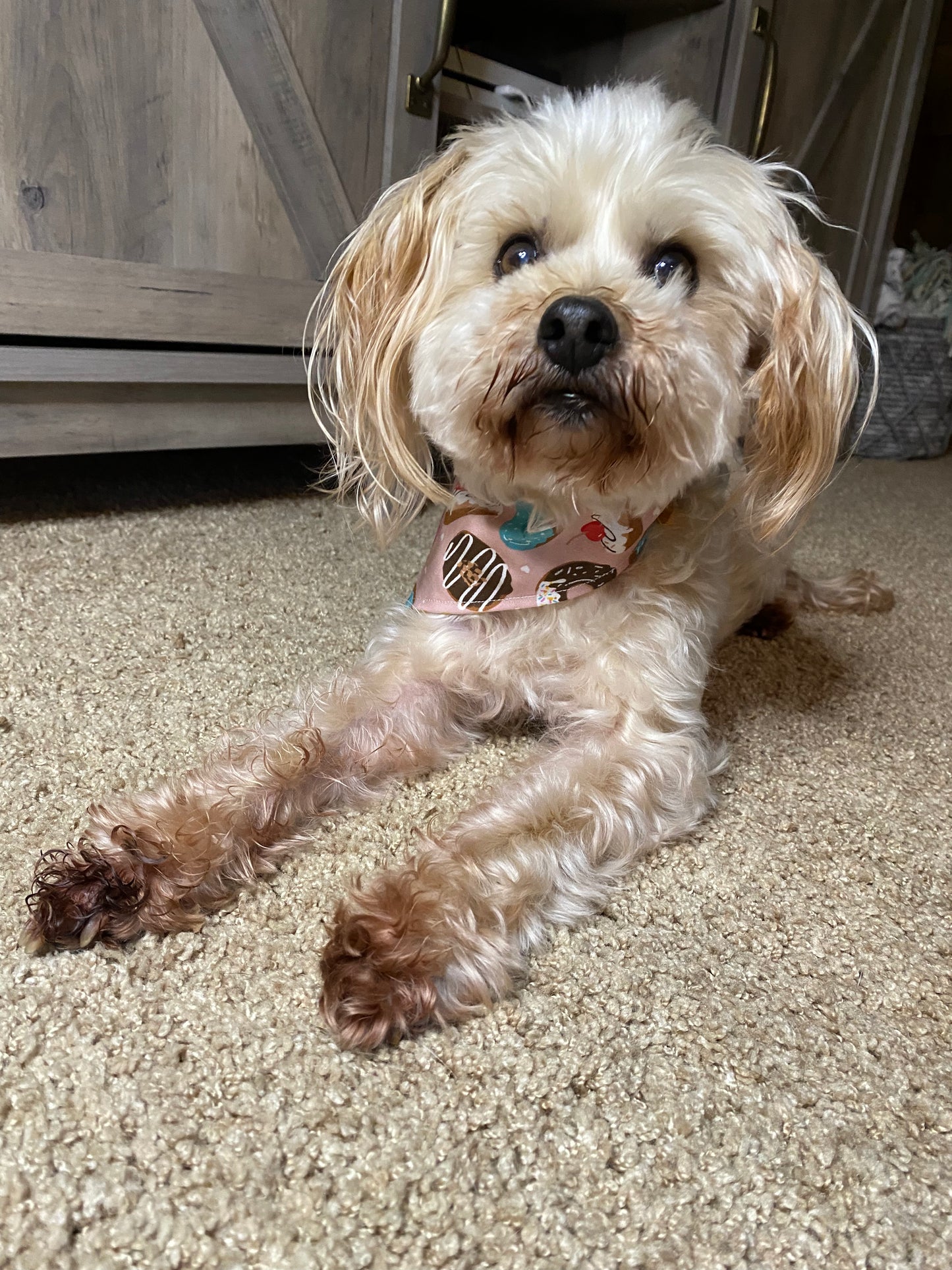 Tie on Dog Bandana, Reversible Dog Bandana, Donut & Bumble Bee Pattern