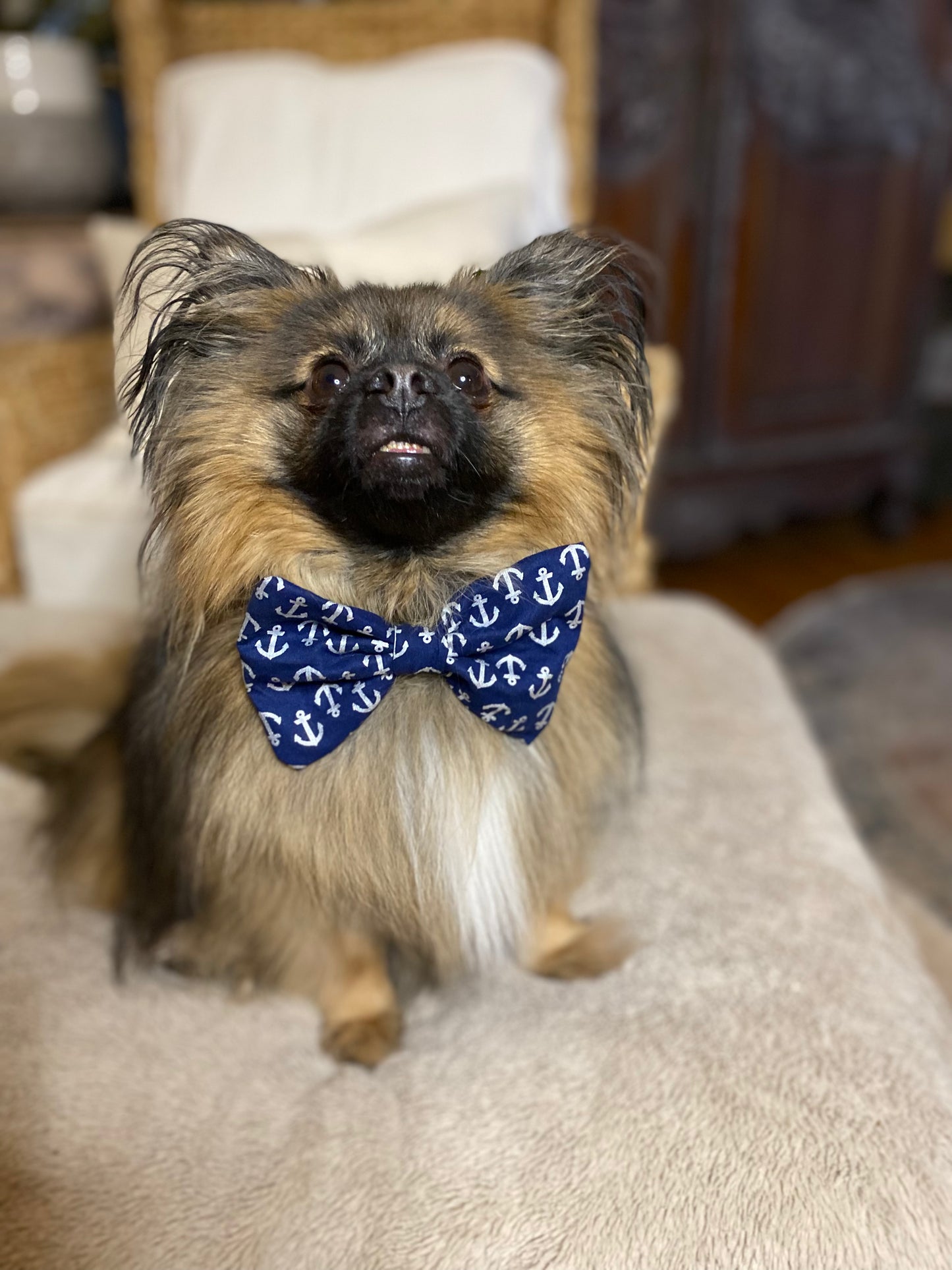 Dog Bow Tie, Flowers