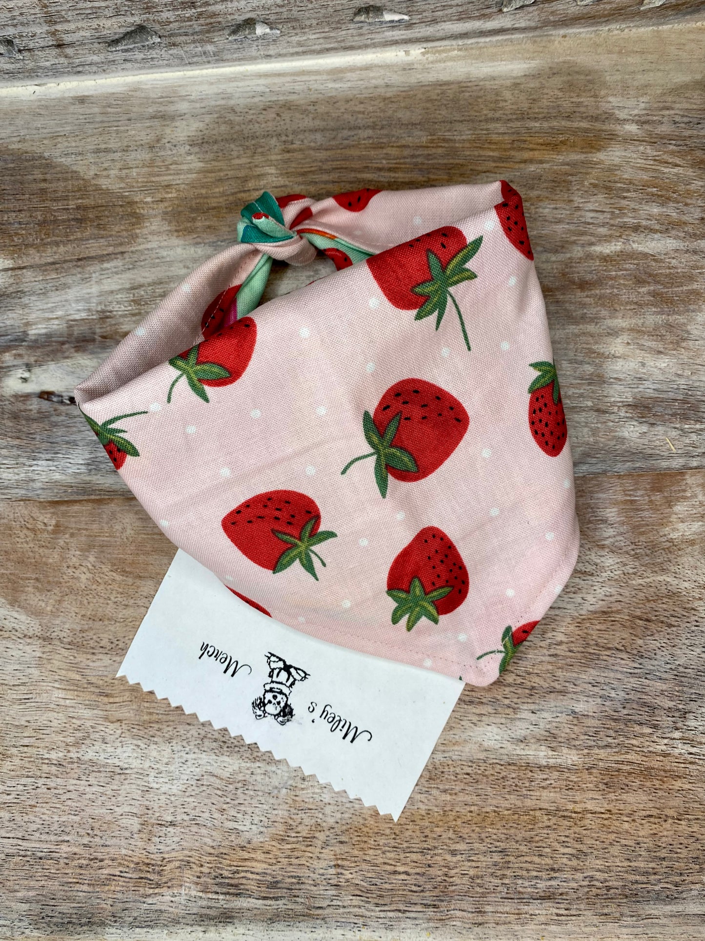 Tie on Dog Bandana, Reversible Dog Bandana, Popsicles & Stawberries