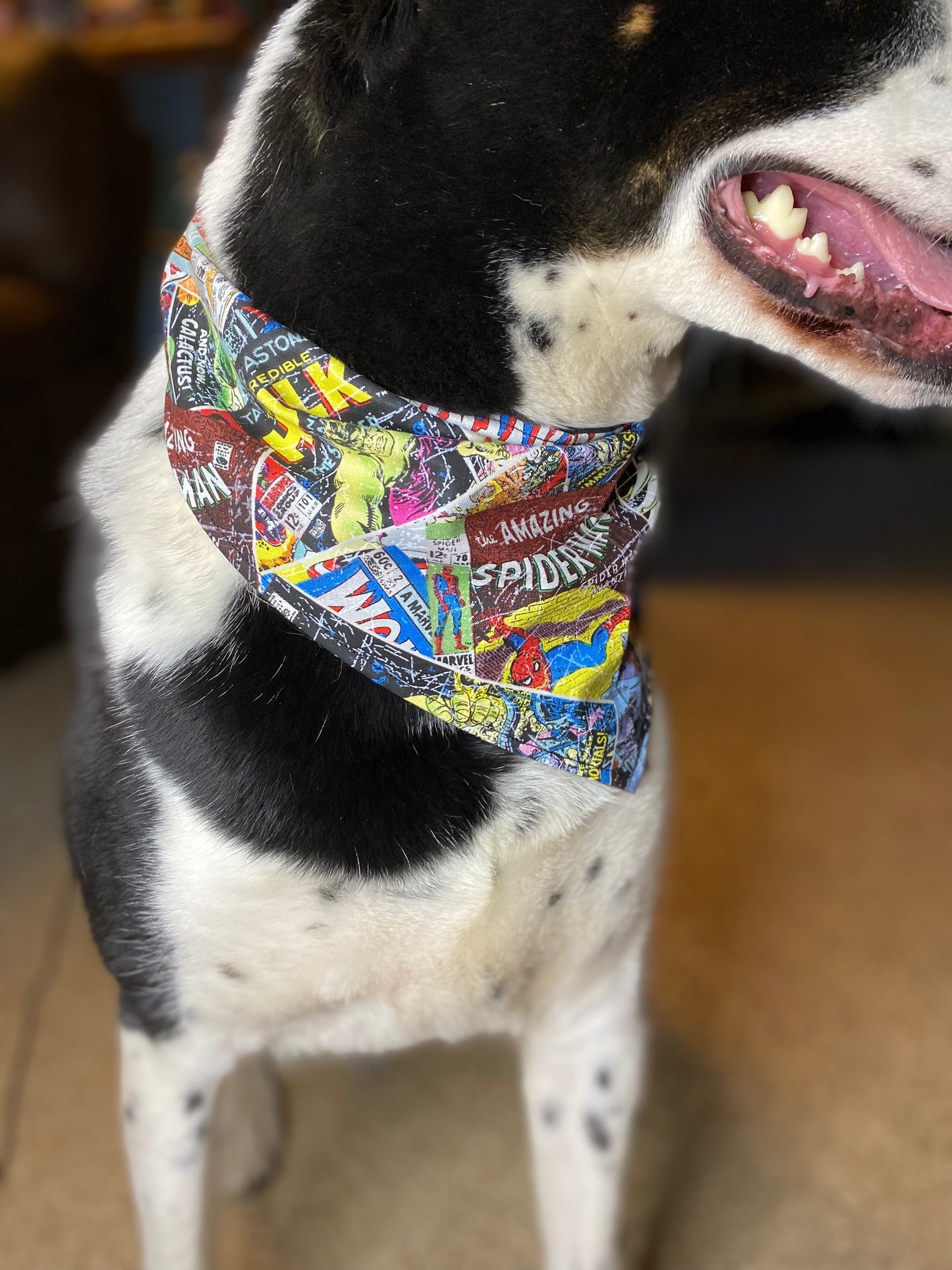 Tie on Dog Bandana, Reversible Dog Bandana, Flowers