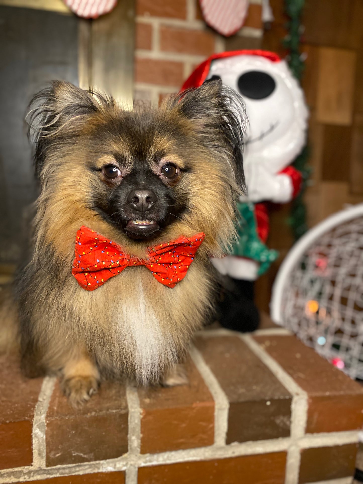 Dog Bow Tie, Christmas Paws