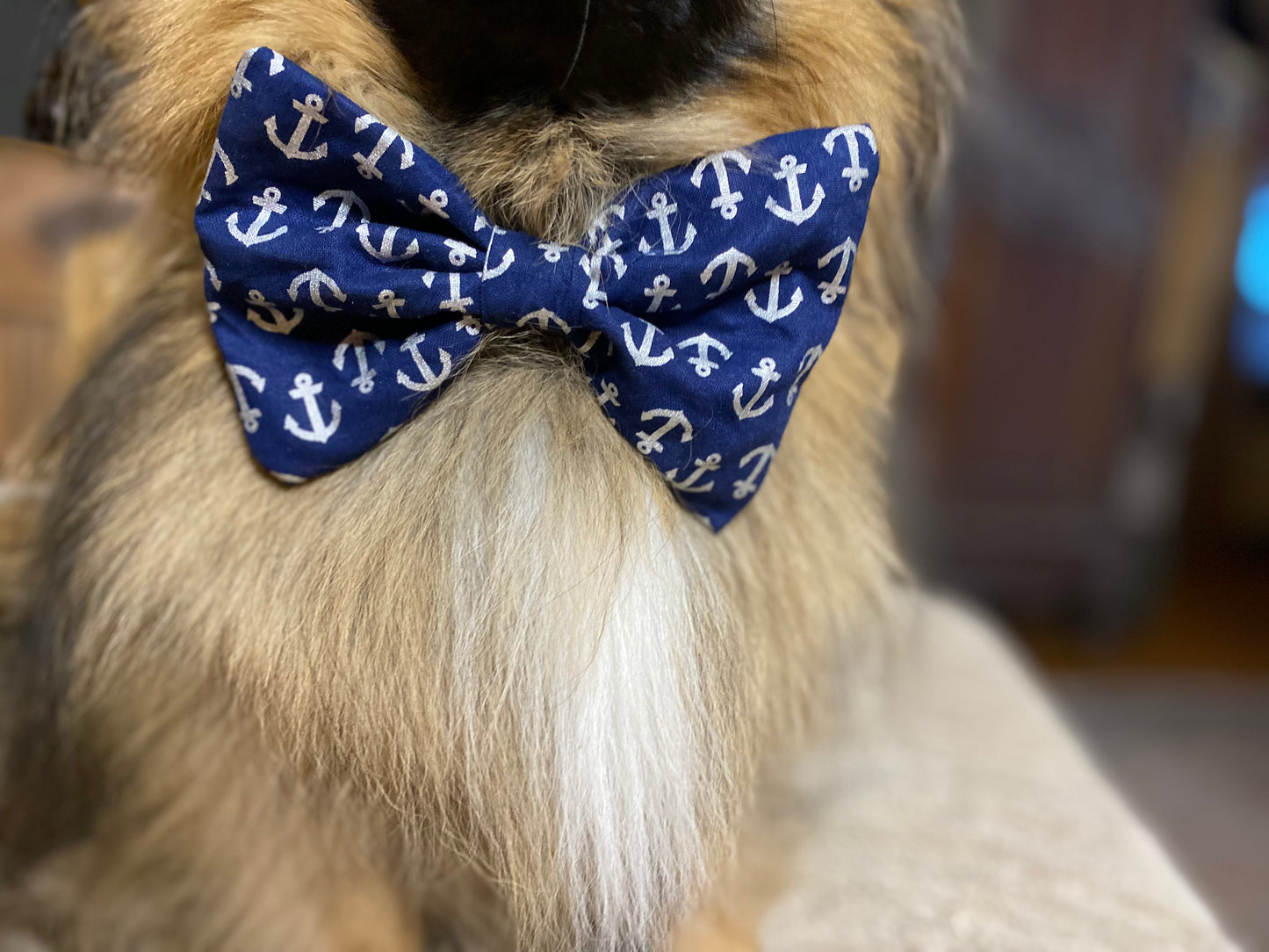 Dog Bow Tie, Flowers
