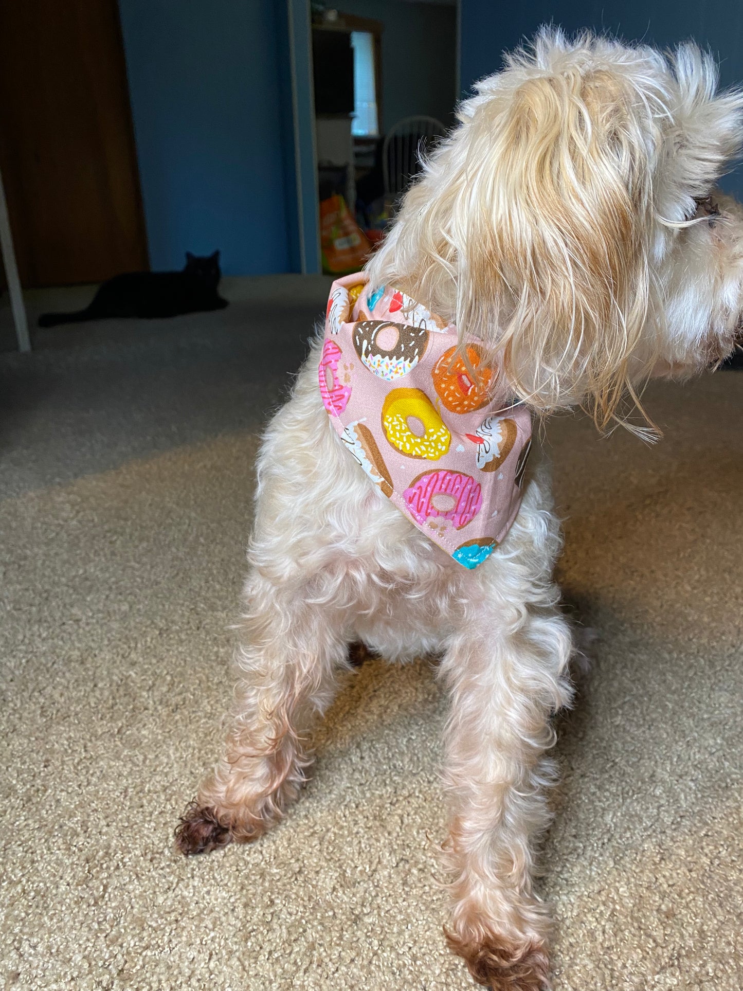 Tie on Dog Bandana, Reversible Dog Bandana, Donut & Bumble Bee Pattern
