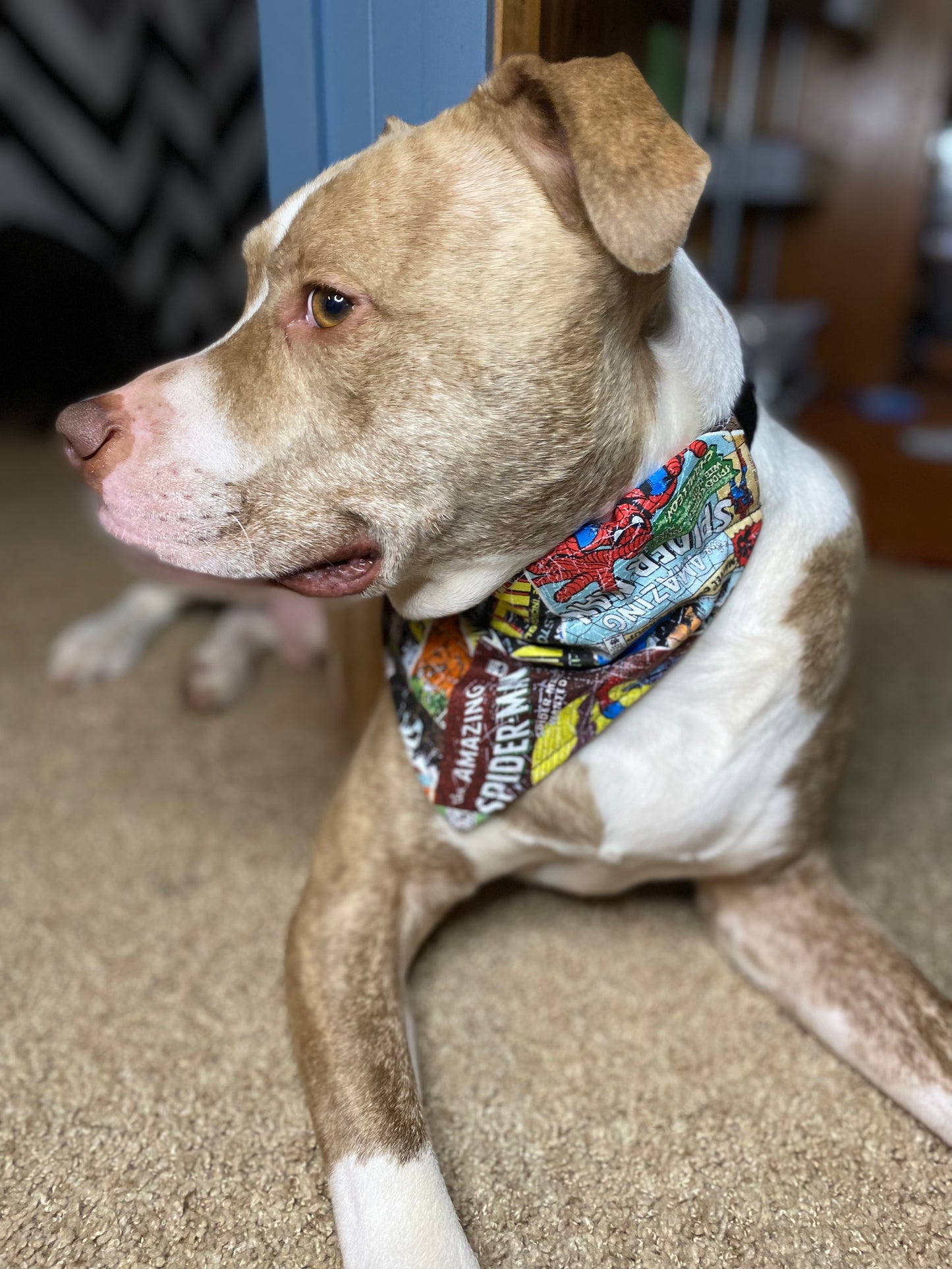 Over the Collar Dog Bandana, Reversible Dog Bandana, Cowboy & Stripes Pattern