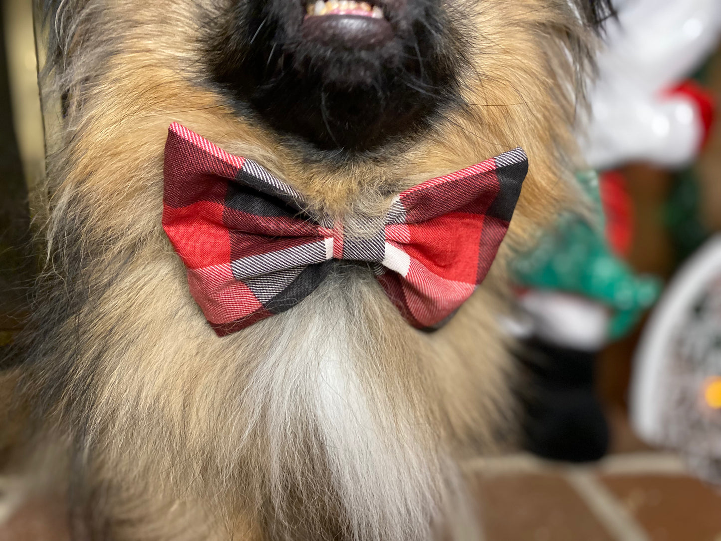 Dog Bow Tie, Marvel