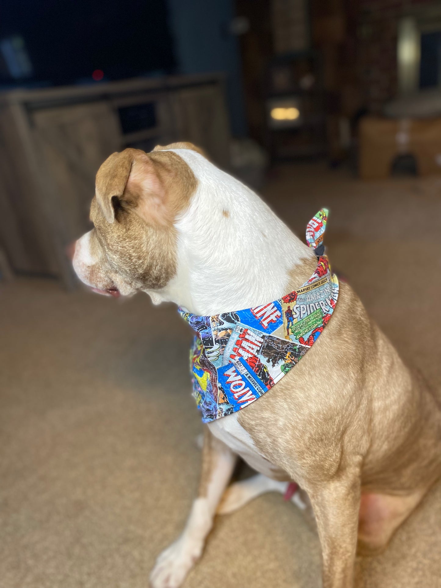 Tie on Dog Bandana, Reversible Dog Bandana, Stripes & Cowboy Pattern