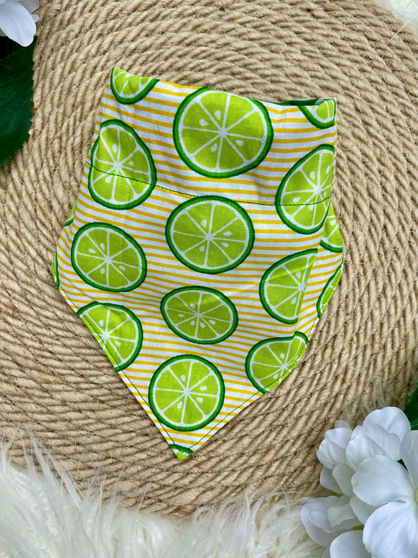 Over The Collar Dog Bandana, Reversible Dog Bandana, Citrus Stripe & Green Poka Dot