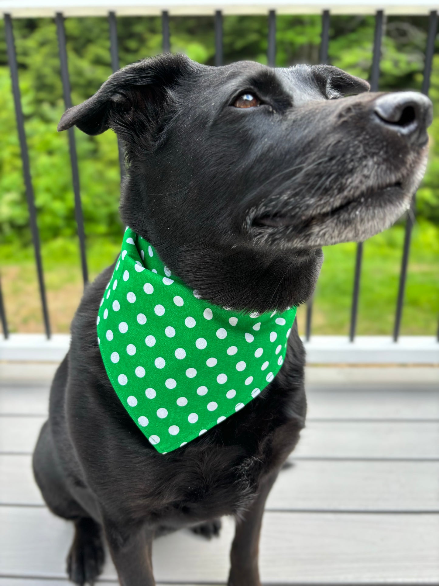 Tie On Dog Bandana, Reversible Dog Bandana, Citrus Stripe & Green Poka Dot