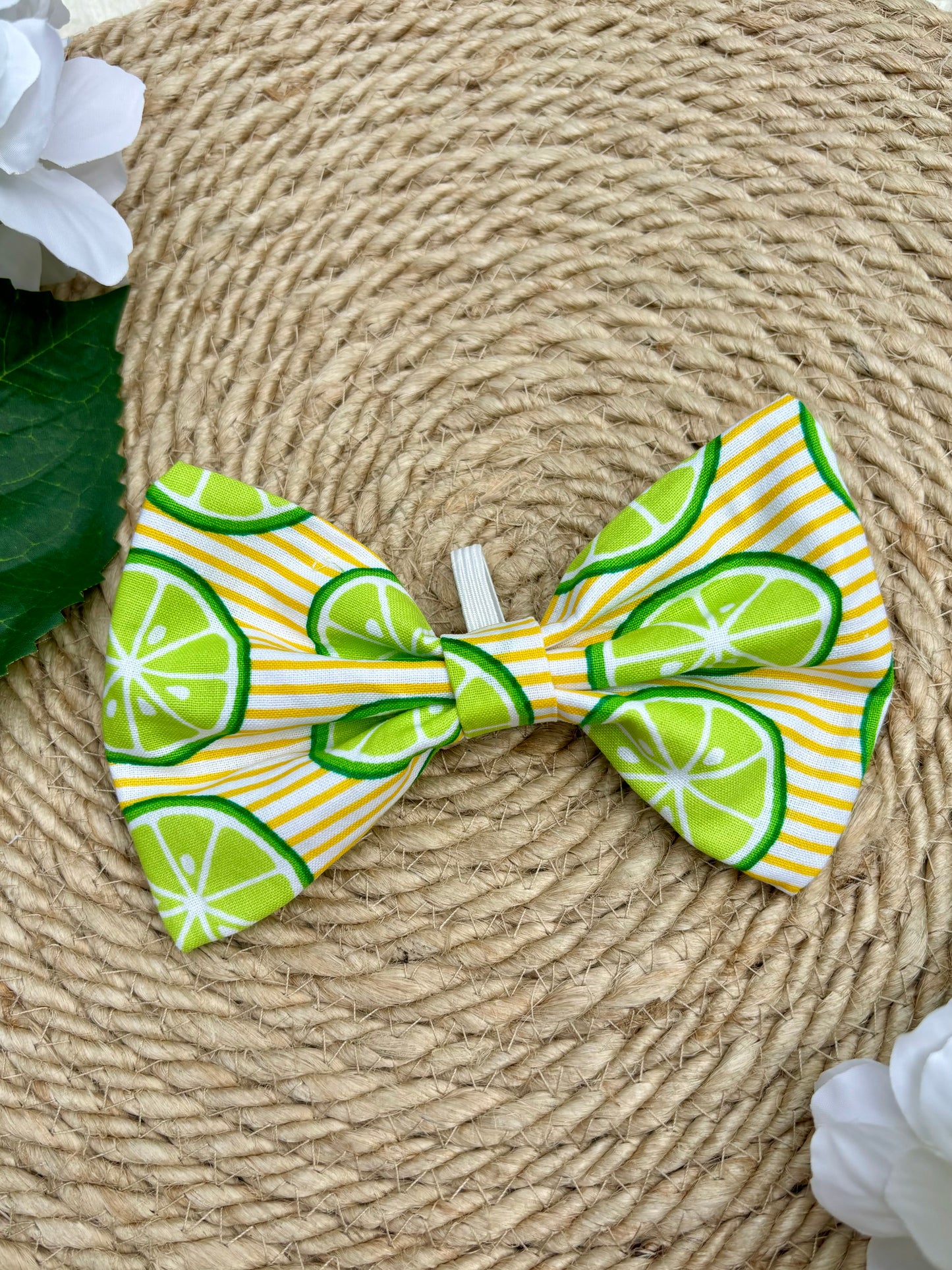 Dog Bow Tie, Citrus Stripe