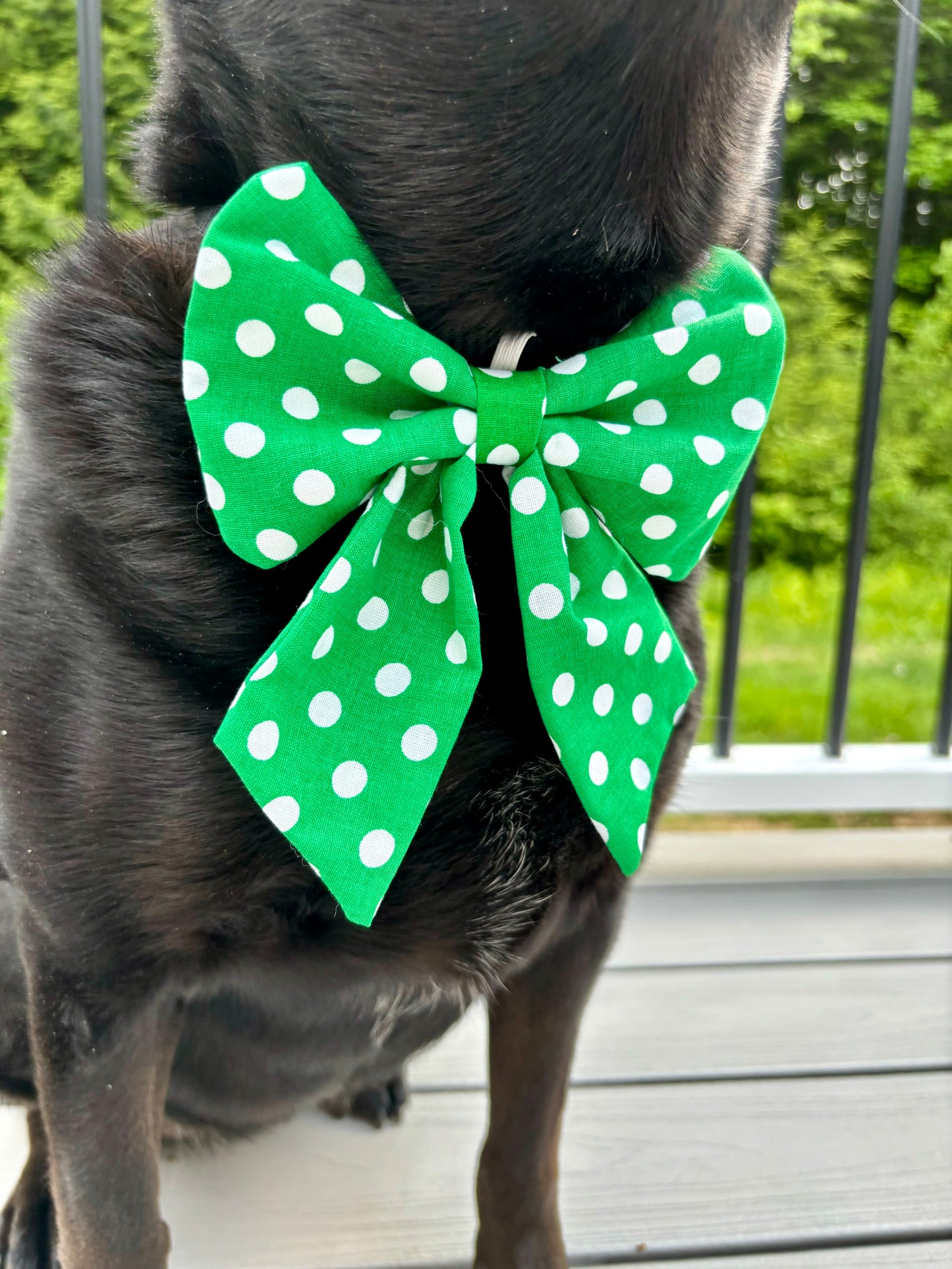 Sailor Dog Bow Tie, Green Poka Dot