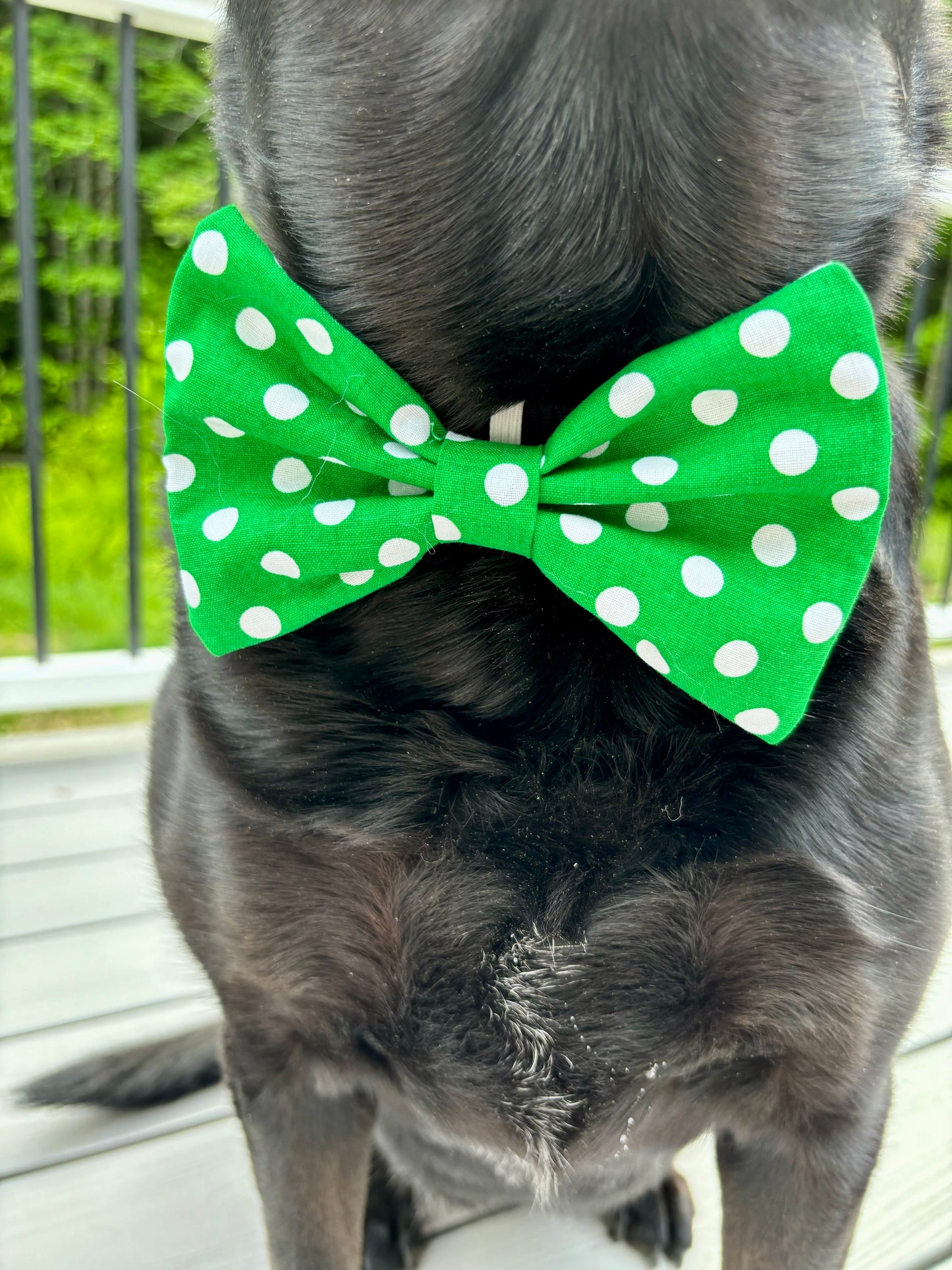 Dog Bow Tie, Green Poka Dot