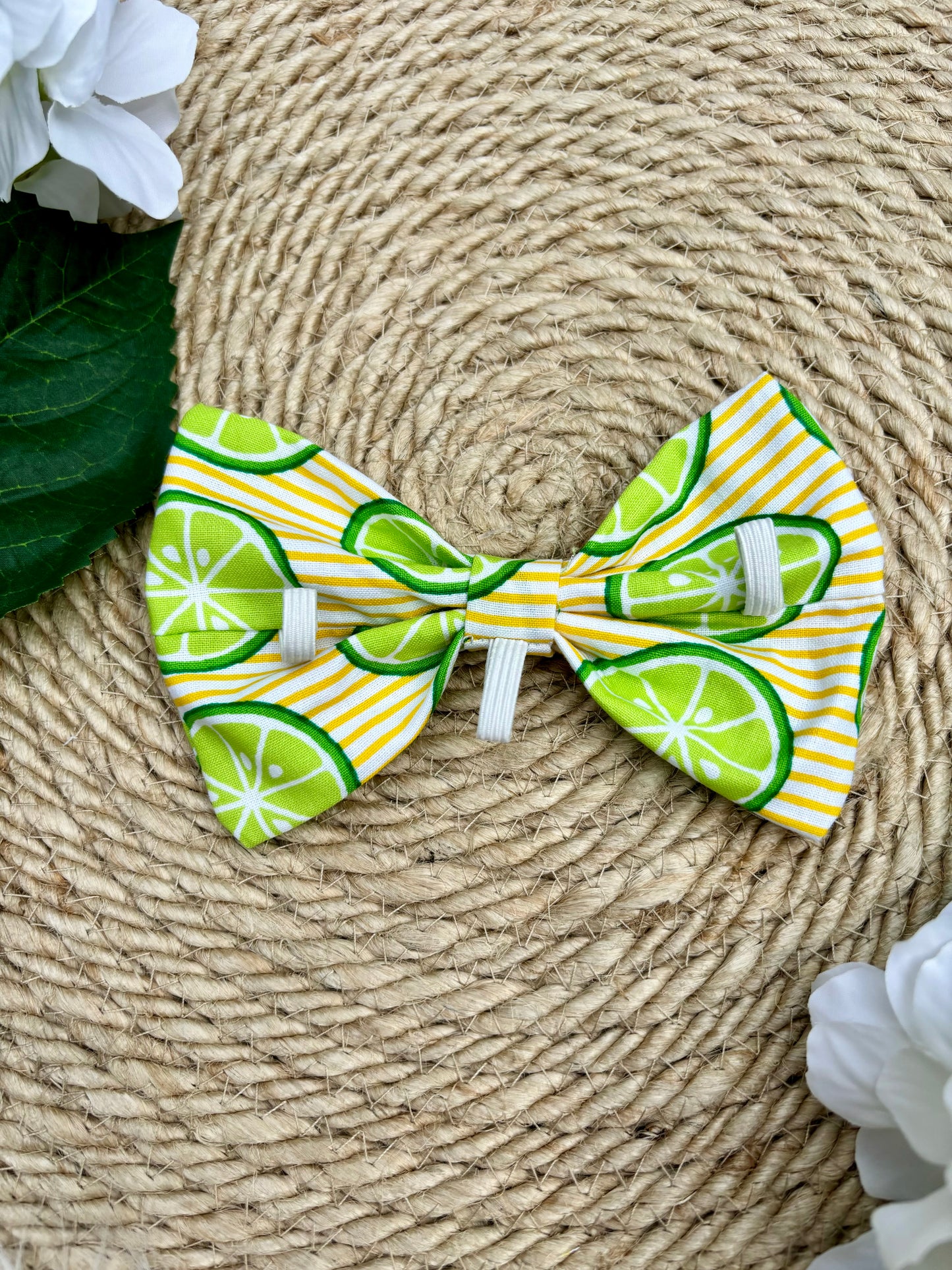 Dog Bow Tie, Citrus Stripe