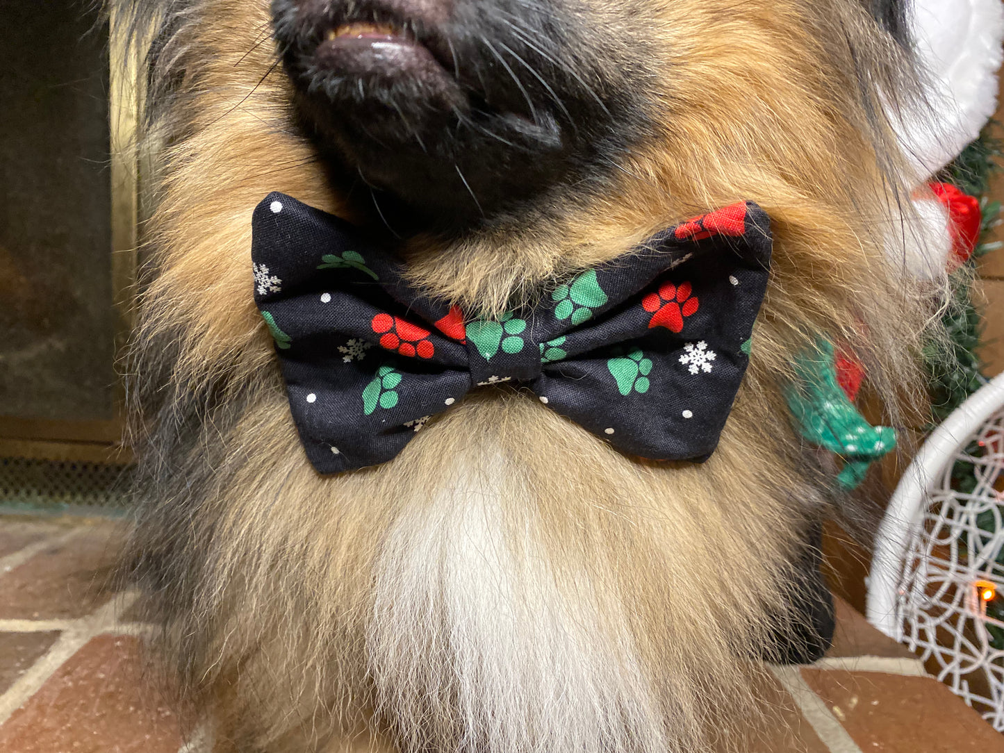 Dog Bow Tie, Christmas Paws