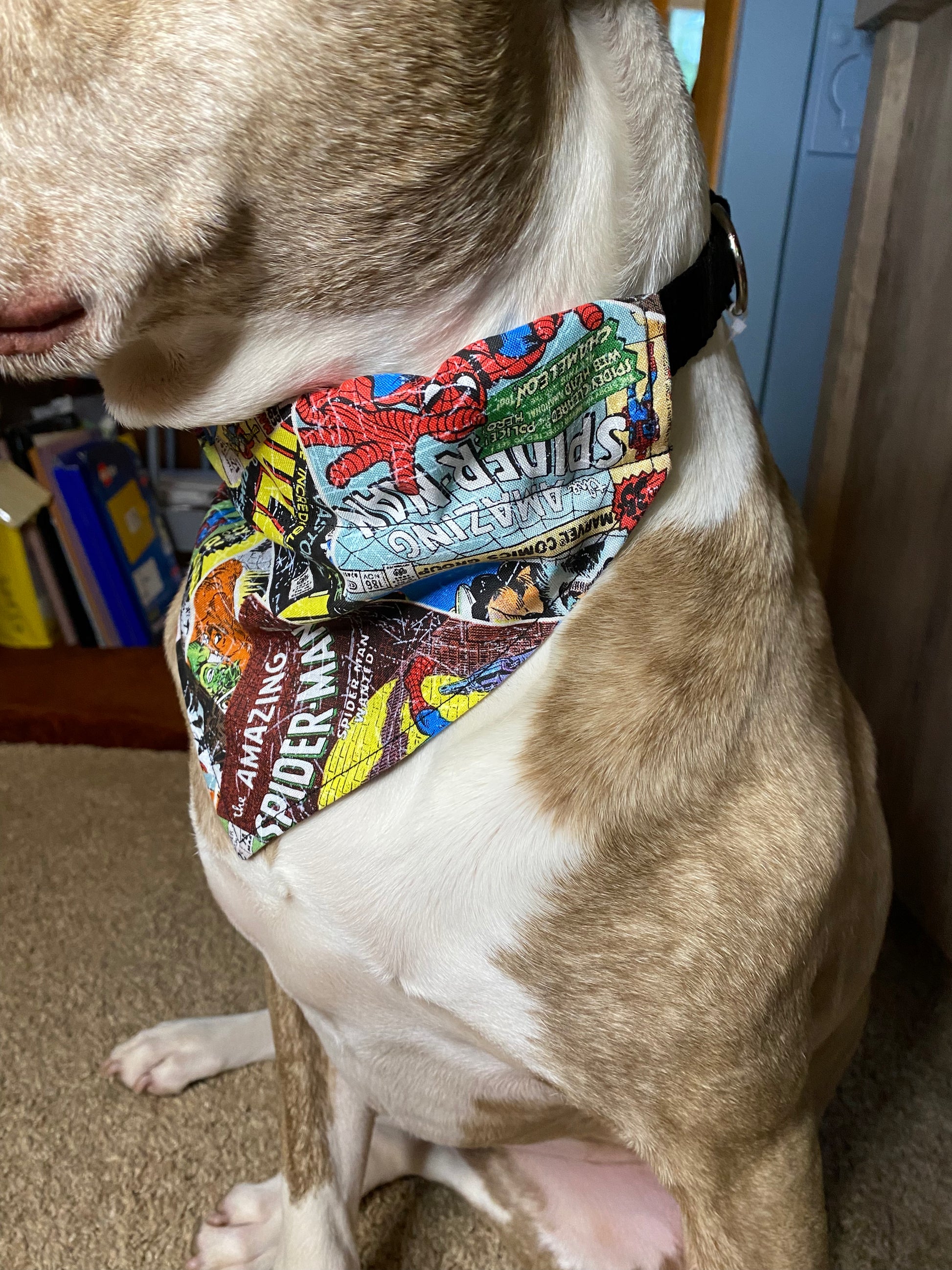 Police hotsell dog bandana