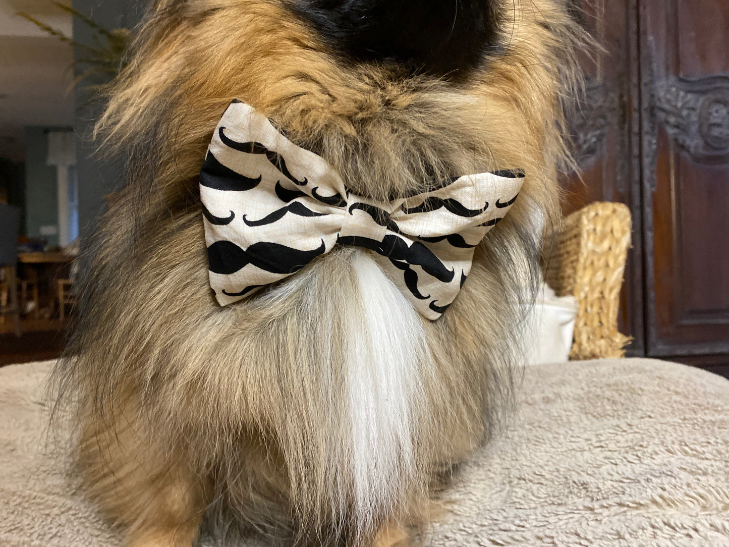 Dog Bow Tie, Bumble Bee