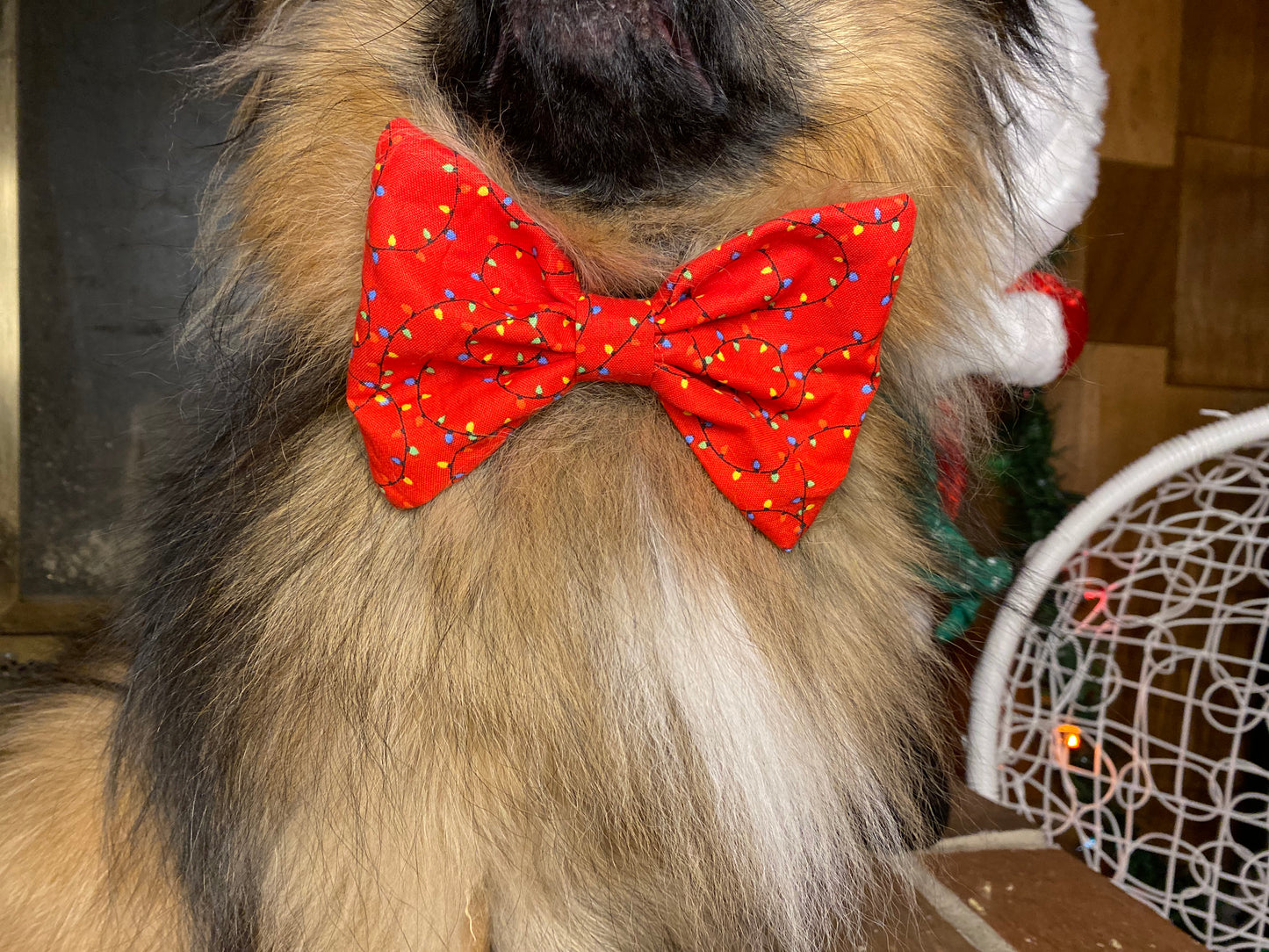 Dog Bow Tie, Christmas Lights